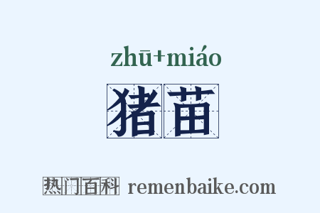 猪苗是什么意思的图片